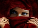 HD-wallpaper-arabic-beauty-female-veiled-arabic-beauty-woman-thumbnail.jpg