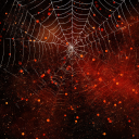 Halloween_Glitter_Ombre_28429.png