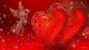 Love-Red-Heart-Bird-love-Wallpapers-Hd-for-android-mobile-phones-and-computer-915x515.jpg