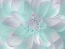 Pastel___cynthia_selahblue_cynti19_Wallpaper_32424193.jpg