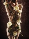 Shibari-Traditional-Japanese-Rope-Bondage-in-Erotic-Art-Photography-by-Dark-Shibari.jpg