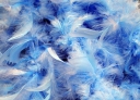 background-blue-feathers-fluffy-thumbnail.jpg