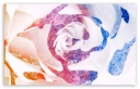 color_splatter_rose-t2.jpg