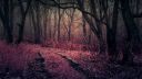 dark-forest-pathway-darkness-autumn-wallpaper-preview.jpg