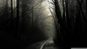 dark_road_forest-wallpaper-1920x1080.jpg