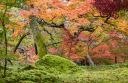 depositphotos_173994328-stock-photo-colorful-leaves-in-autumn.jpg