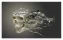 disintegrating_skull-t2.jpg