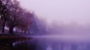 earth-fog-lake-purple-wallpaper-preview.jpg