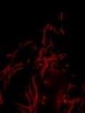 flame_fire_red_flame_169707_225x300~0.jpg