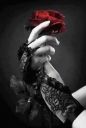 gothic-rose-have-fun-37741343-236-351.jpg