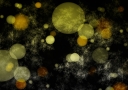 grunge_bokeh_inspired_background1_by_helenartathome_d5ddv8k.jpg