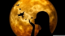 halloween_wish-wallpaper-1920x1080.jpg