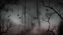 haunted-forest-24_0.jpeg