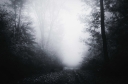 haunted-forest-path-at-night-H5UNSQV.jpg