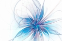 nominated-abstract-digital-art-snow-flower-snowflake_t20_7lzWay.jpg