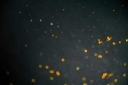 normal_blurred-golden-bokeh-texture-on-a-black-background-abstract-art-backdrop-background-blink-blur_t20_8dvo6W~1.jpg