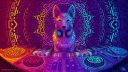 psychedelic-abstract-colorful-wolf-headphones-hd-wallpaper-preview.jpg