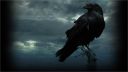 raven_wallpaper_116_-_1922x1082.jpg