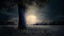 sky-full-moon-nature-darkness-wallpaper-preview.jpg