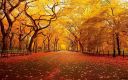 thanksgiving-wallpaper-4.jpg