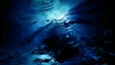 underwater_wallpaper_126_-_1920x1080~0.jpg