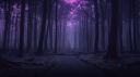 vecteezy_ai-generative-dark-forest-night-purple-sky-black-silhouettes_26939664_180.jpg