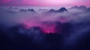 vecteezy_enchanting-pink-magenta-and-purple-fog-on-dark-hazy_28707689_992.jpg