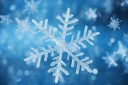 vecteezy_frosted-glitter-snowflake-overlays-in-pales-blues-and-whites_32489716_301.jpg