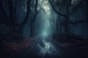 vecteezy_mystical-forest-landscape-with-trees-generative-ai_24599125_878~0.jpg