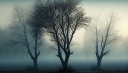 vecteezy_silhouette-of-spooky-tree-conjures-ominous-mystery_24623242_625~0.jpg