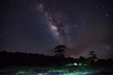 vecteezy_silhouette-of-tree-and-milky-way-at-phu-hin-rong-kla_10452530_120.jpg