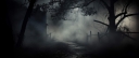 vecteezy_smoke-and-mist-in-the-darkness-background-defocused-and_28133398_864.jpg