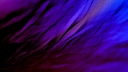 wallpapersden_com_dark-purple-texture_1920x1080.jpg