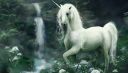 wallpapersden_com_unicorn-being-falls_1336x768.jpg