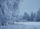 winter-dream-czech-republic_t20_kjYWX2.jpg