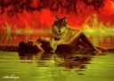 wolf-on-fire-mike-peconge.jpg