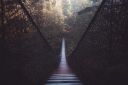 wooden-bridge-in-forest-free-photo.jpeg