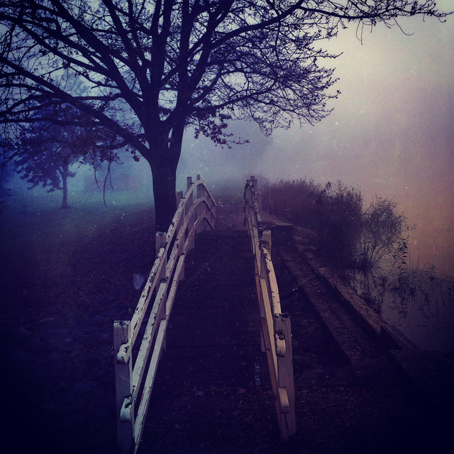 tree-bridge-footbridge-wood-fog-plants-mist-trees-branches-rail-creepy-t20-6-ABBmy.jpg