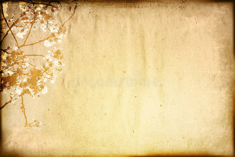 vintage-flower-paper-background-7179663.jpg