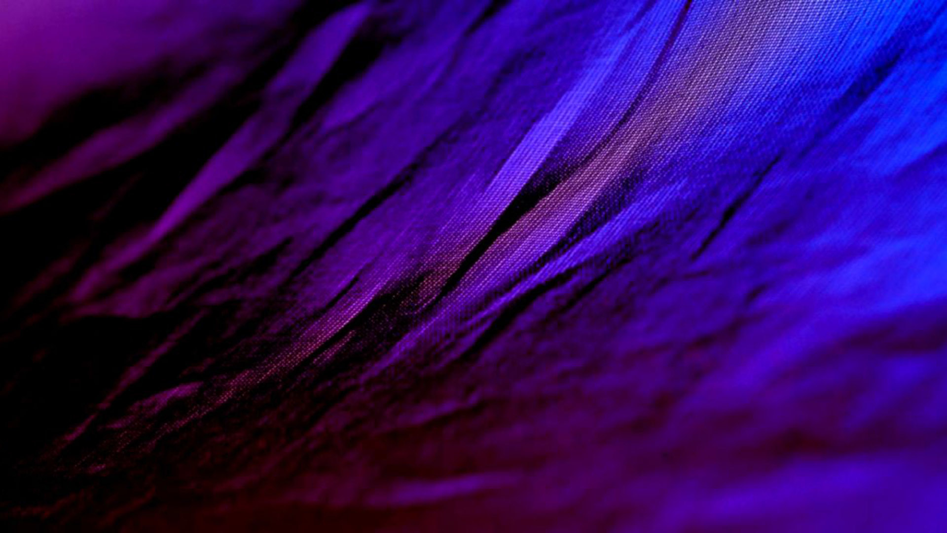 wallpapersden_com_dark-purple-texture_1920x1080.jpg