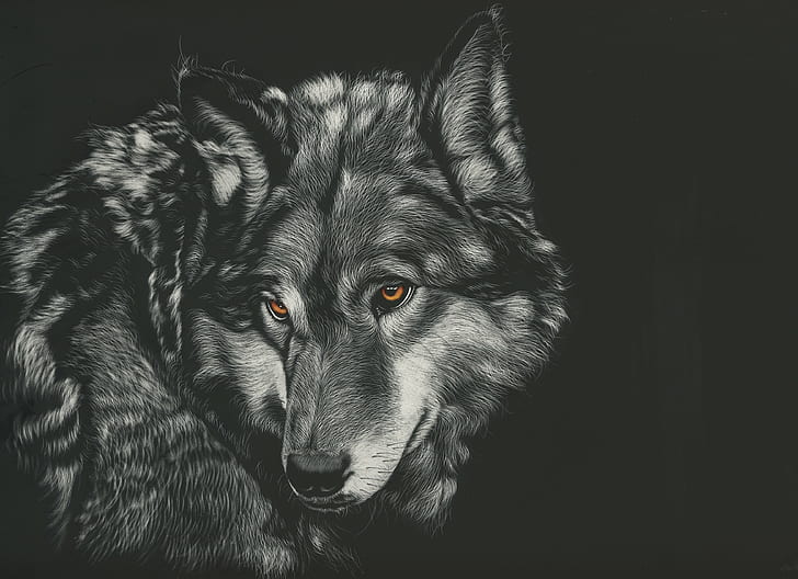 wolf-painting-animals-4k-wallpaper-preview.jpg