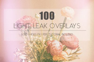 100_Retro_Light_Leak_Overlay_Bundle~1.jpg