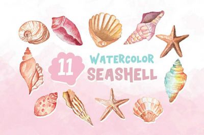 11_Watercolor_Seashell_Illustration_Graphics~0.jpg