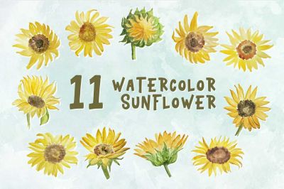 11_Watercolor_Sunflower_Illustration_Graphics~0.jpg