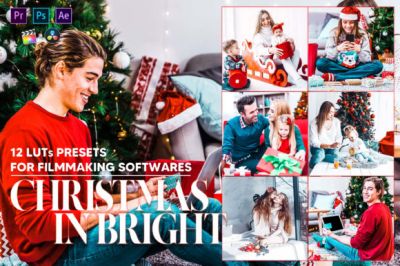 12_Christmas_in_Bright_Video_LUTs_Preset.jpg