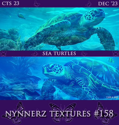 158-Sea-Turtles.png