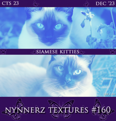 160-Siamese-Kitties.png