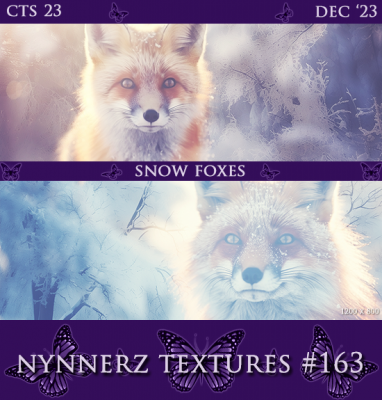 163-Snow-Foxes.png