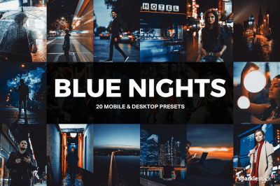 20_Blue_Nights_Lightroom_Presets_and_LUTs.jpg