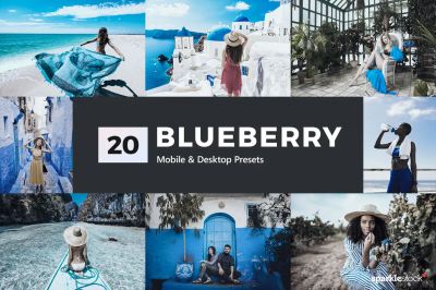 20_Blueberry_Lightroom_Presets___LUTs.jpg